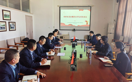 標題：銷售黨支部召開組織生活會暨民主評議黨員會議
瀏覽次數：373
發(fā)表時間：2025-02-26